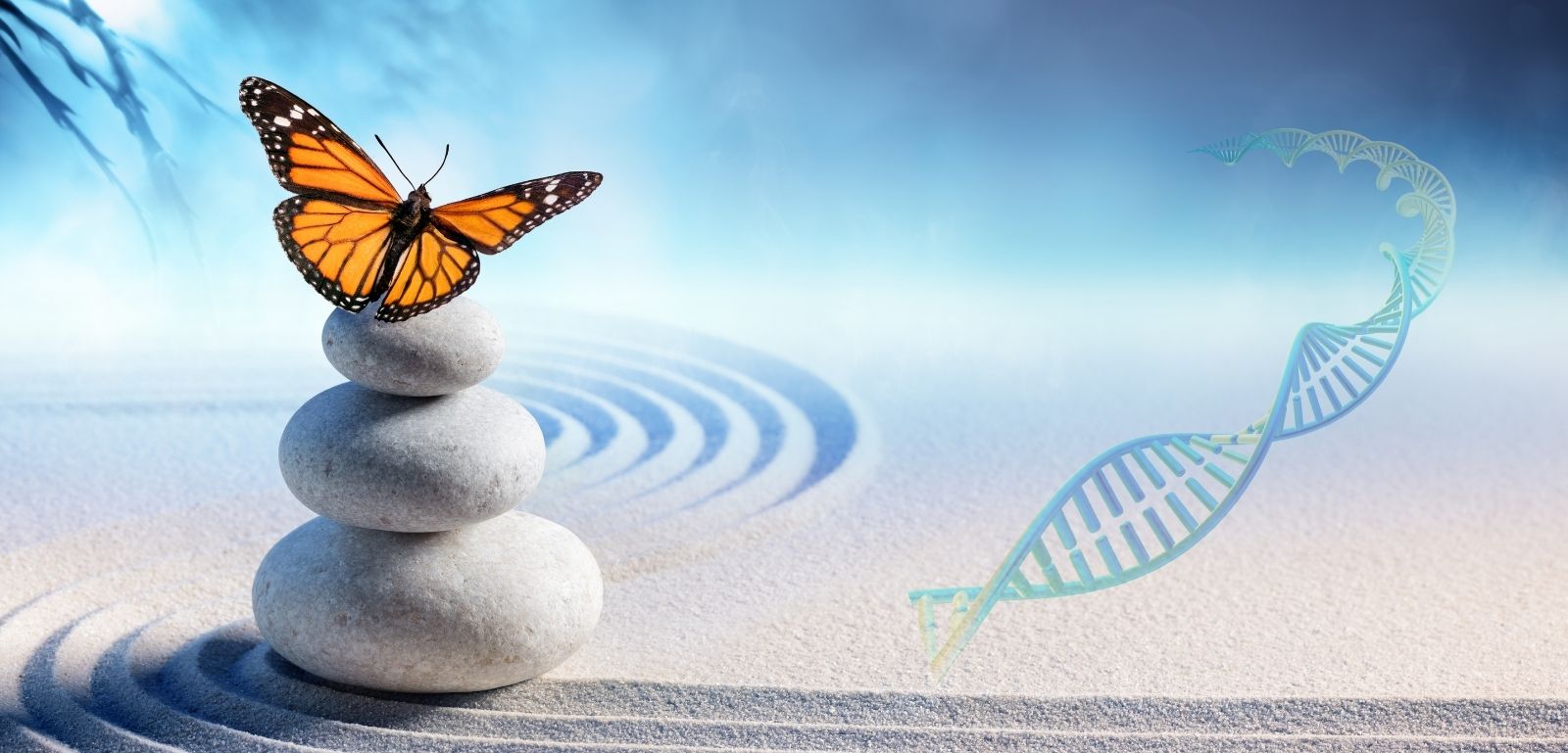 Life Sciences Research Support